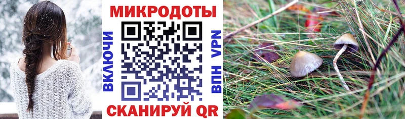 Псилоцибиновые грибы Magic Shrooms  кракен ТОР  Киренск 